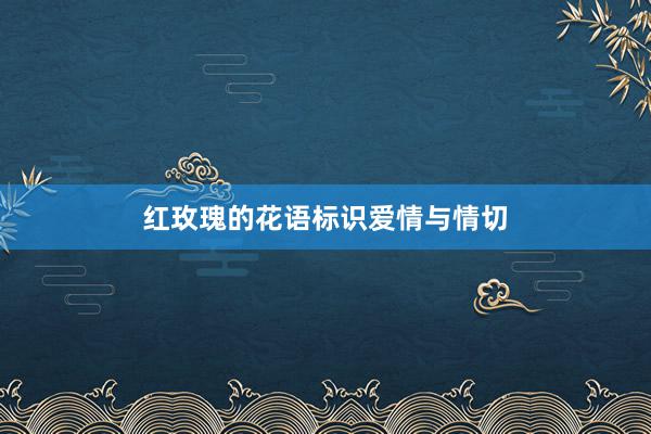 红玫瑰的花语标识爱情与情切